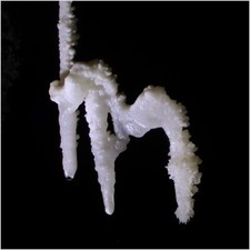 Thumbnail of photo from this article